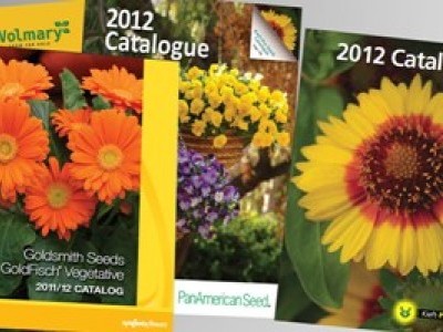 PDF каталоги семян цветов 2012