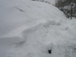 Пленочная теплица с Виолами засыпанная снегом